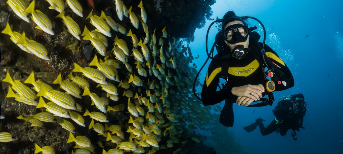 Diving / Marine Tours